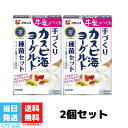 フジッコ カスピ海 ヨーグルト 種菌 手作り 2箱セット 送料無料