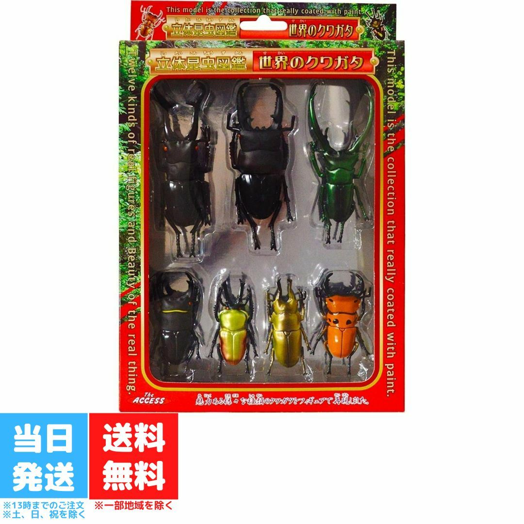 立体昆虫図鑑 世界のクワガタ 昆虫 リアルフィギュア クワガタ クワガタムシ おもちゃ 送料無料のサムネイル