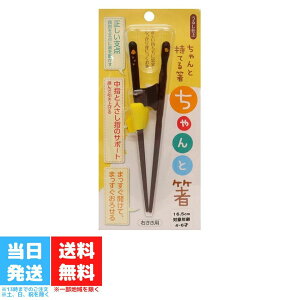 イシダ 矯正箸 ちゃんと箸 こども用 子供 子ども 16.5cm 右利き 送料無料