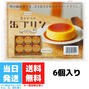 井村屋 昔ながらの缶プリン MP-B 6個入 缶プリン 缶 プリン 贈りもの ギフト 送料無料