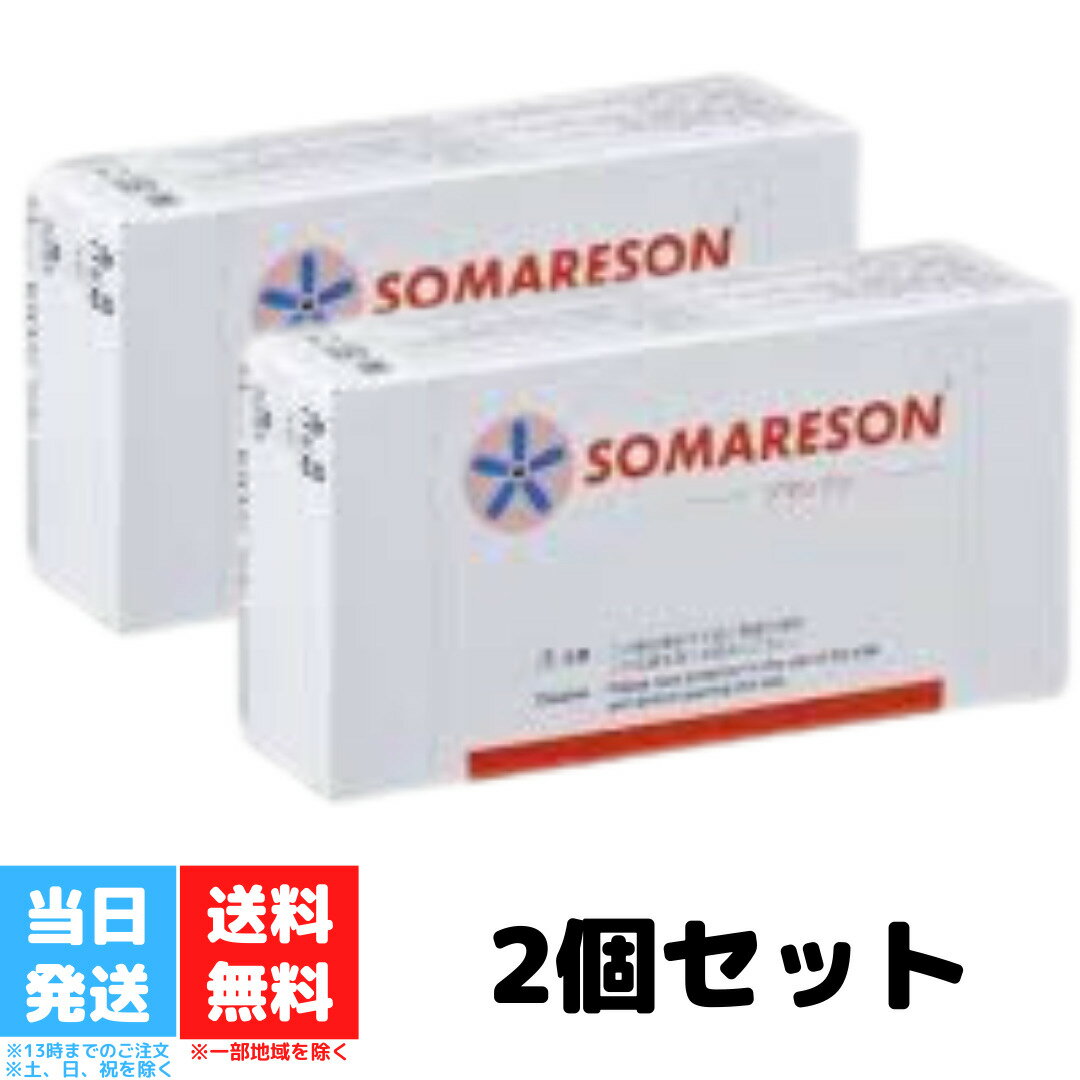 ソマレゾン Lサイズ 100個入り 2個セット 東洋レジン株式会社 SOMARESON コリ 痛み 改善 関節痛 筋肉痛 ひざの痛み 肩こり 解消グッズ 肩凝り 解消 腰痛 改善 グッズ 疲労 送料無料