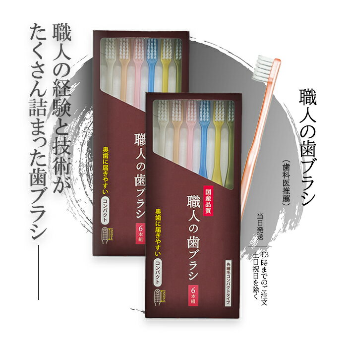 職人の歯ブラシ 先細毛タイプ コンパクト LT654 6本組 2個セット 歯の隅々まで磨ける ライフレンジ 歯ブラシ ハブラ…