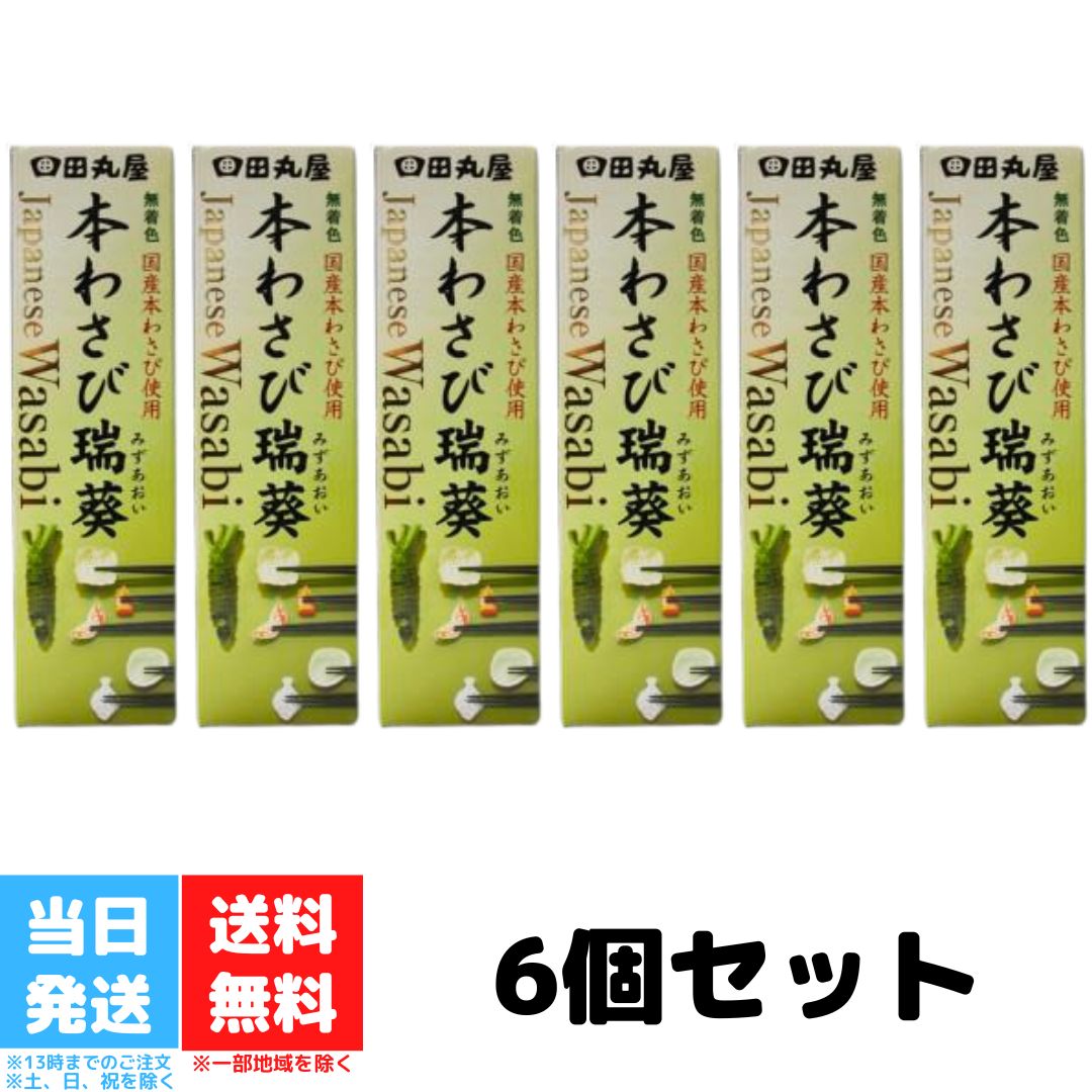 田丸屋本店 静岡本わさび わさび チューブ 42g 6個セット 山葵 静岡 無着色 本わさび 水葵 瑞葵 調味料 送料無料