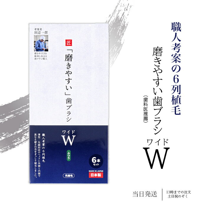 磨きやすい歯ブラシ ワイド ふつう 先細毛 6本セット ライフレンジ 薄型 6列植毛 先細形状ヘッド ブラッシング LT-56…