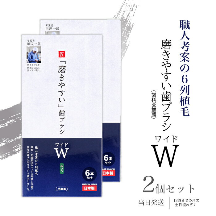 磨きやすい歯ブラシ ワイド ふつう 先細毛 6本セット ライフレンジ 2個セット 薄型 6列植毛 先細形状ヘッド ブラッシング LT-56 送料無料