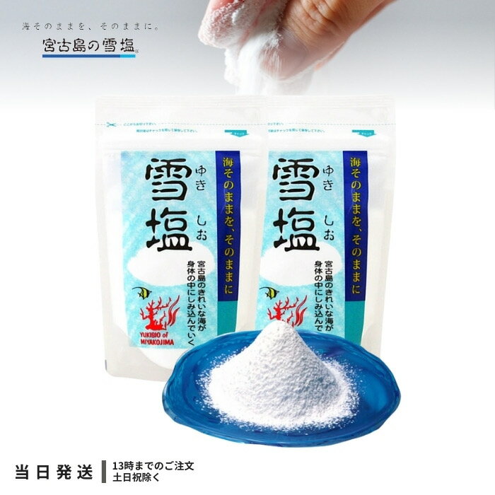 パラダイスプラン 宮古島雪塩 雪塩 120g 2個セット パウダータイプ 宮古島 沖縄 塩 お土産 天然塩 沖縄の塩 ミネラル補給 塩分補給 スタンドパック 調味料 送料無料のサムネイル