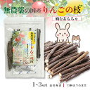 かじり木 国産 100g りんごの枝 無農薬 うさぎ ハムスター チンチラ 天然 安心 ペット おもちゃ デンタルケアに