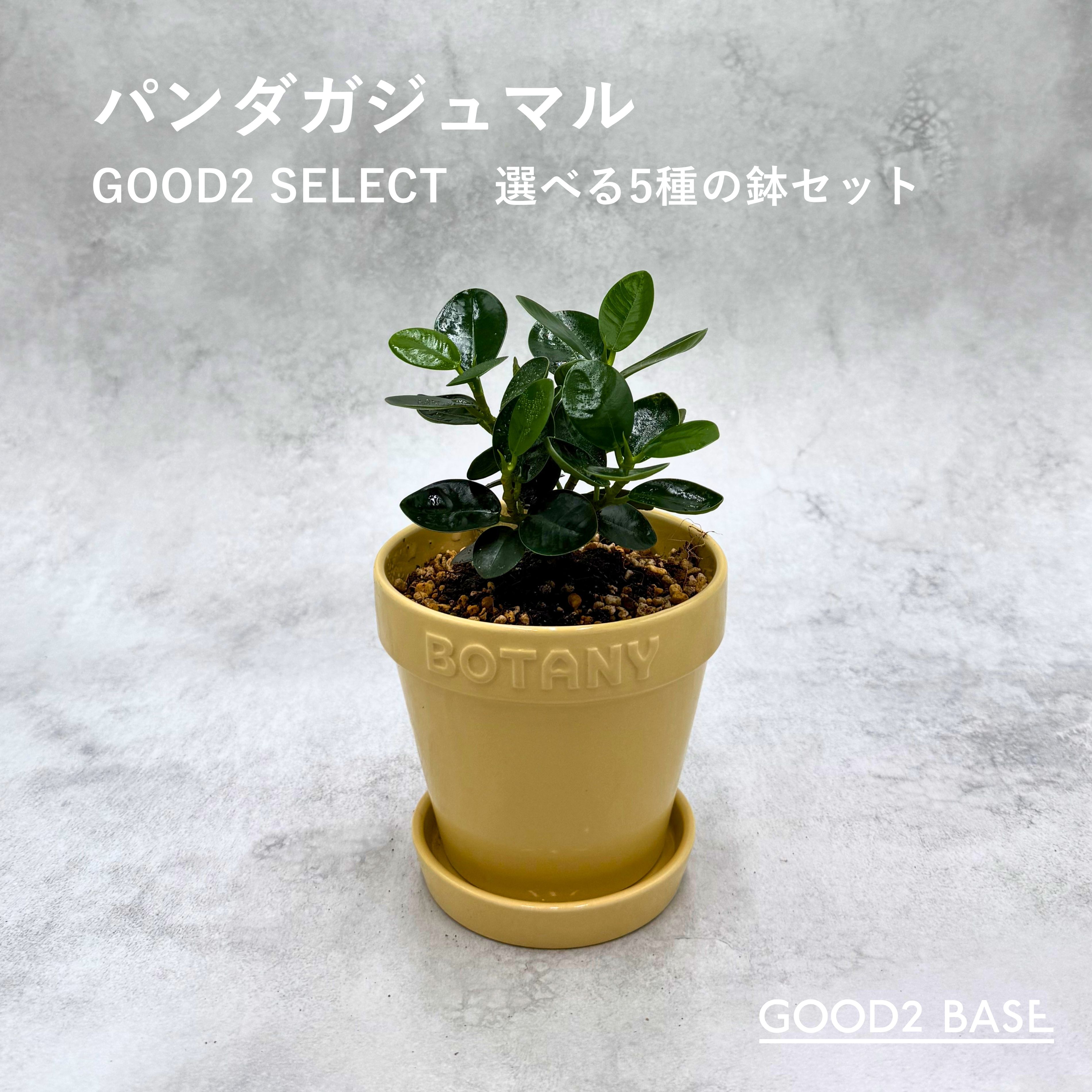 商品画像1