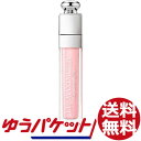 Christian Dior クリスチャンディオール アディ...