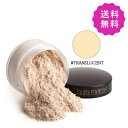 laura mercier ローラメルシエ ルースセッティングパウダー #TRANSLUCENT 29g【◆定形外送料無料】