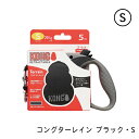 コンダクターレイン