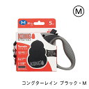 コンダクターレイン