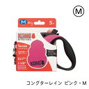 コンダクターレイン