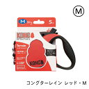 コンダクターレイン
