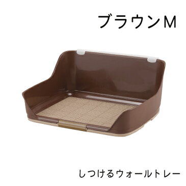 しつけるウォールトレー ブラウン・M