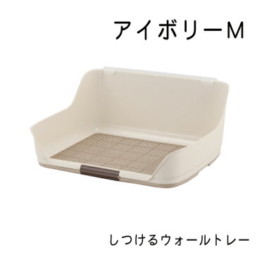 しつけるウォールトレー アイボリー・M