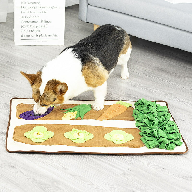 L`ange 探犬マット　野菜！　知育トレーニング
