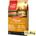 ORIJEN オリジン パピー 11.4kg 子犬用 全犬種用 ドッグフード ドライフード アカナファミリージャパン 正規品