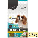 【賞味期限2025/12/31】ウェルケア キャバリア専用 アダルト〜シニア 2.7kg チキン 中粒 成犬用 高齢犬用 シニア犬用 総合栄養食 ドッグフード ...