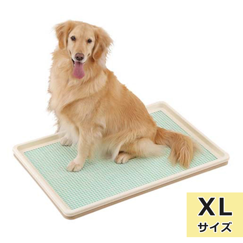 犬 トイレトレー ペットトレー しつけるトレー XLサイズ メッシュタイプ 大型犬用 中型犬用 スーパーワイドサイズ 犬用トイレトレー トイレ用品 メッシュ トレーニング しつけ ボンビアルコン