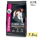 【賞味期限2026/5/16】ユーカヌバ アダルト ラム&ライス 7.5kg 成犬用 全犬種用 ラム 1歳以上 ドッグフード ドライフード Eukanuba 正...
