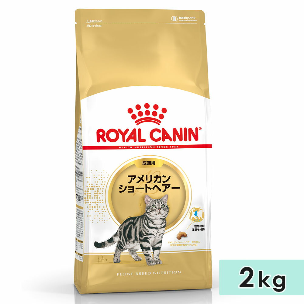 ロイヤルカナン アメリカンショートヘアー 2kg 成猫用 生後12カ月齢～12歳まで 1歳～12歳まで キャットフード ドライフード ROYAL CANIN 正規品