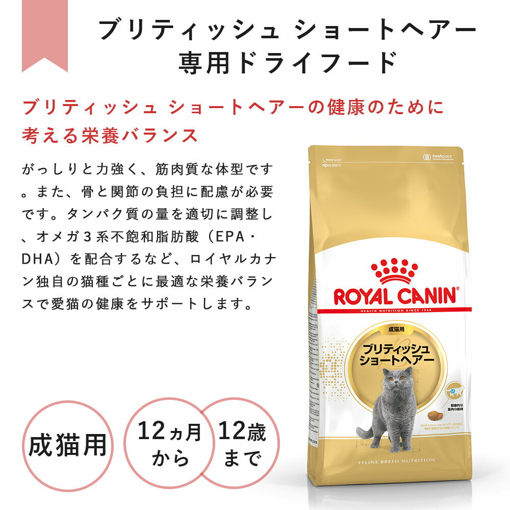 ロイヤルカナン ブリティッシュショートヘアー 2kg 成猫用 生後12カ月齢～12歳まで 1歳～12歳まで キャットフード ドライフード ROYAL CANIN 正規品 3