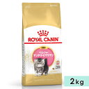 【賞味期限2026/3/26】ロイヤルカナン ペルシャ チンチラ ヒマラヤン 2kg 子猫用 生後12カ月齢まで 1歳まで キャットフード ドライフード ROY...