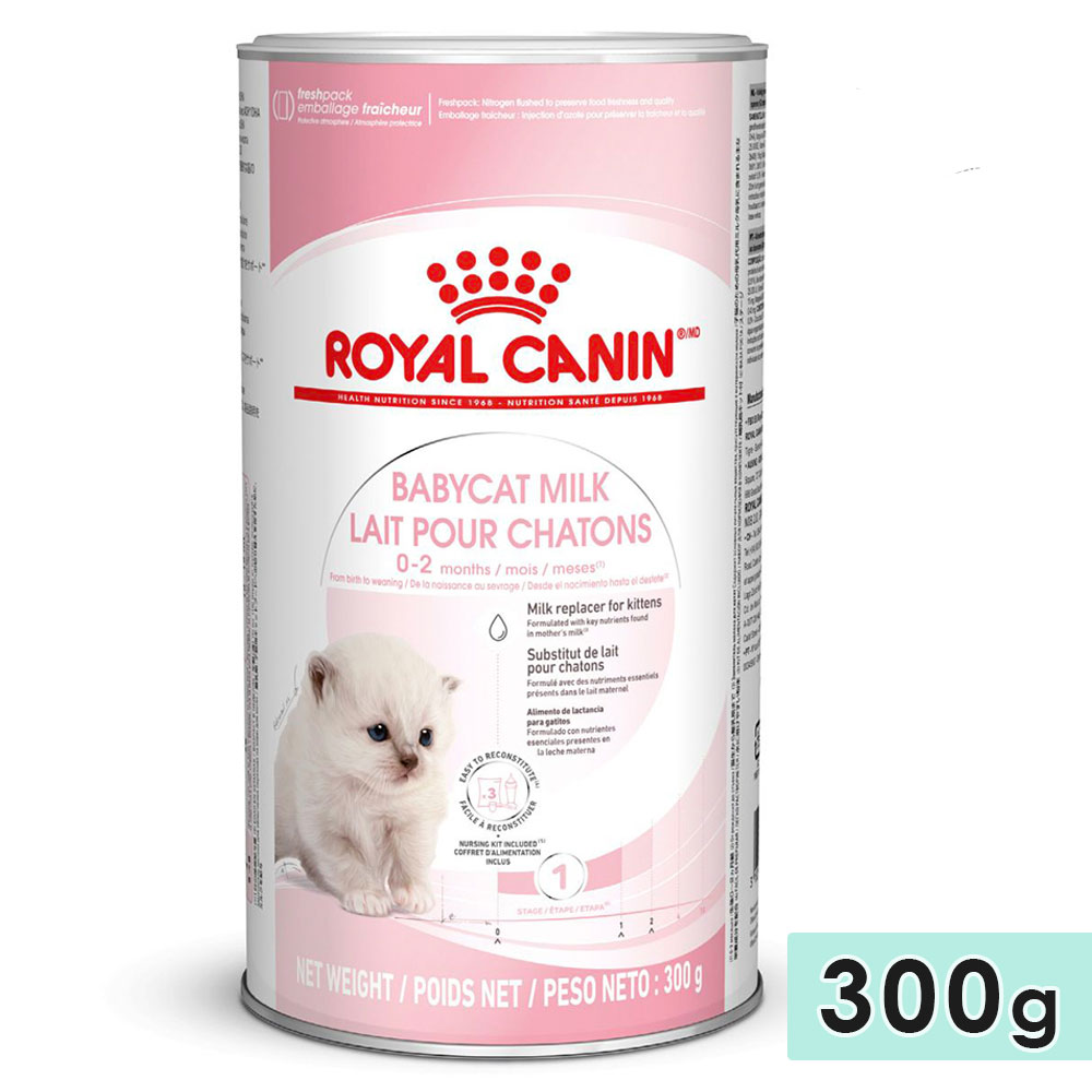 CJi xr[Lbg ~N 300g 100gx3ܓ qLp Lp SLp O a琶4܂ Lbgt[h ~N シ̎qLpAp~N ROYAL CANIN Ki