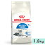 륫ʥ ɥ 7+ 1.5kg ǭ ˥ǭ ǭ 7С12Фޤ åȥա ɥ饤ա 褹ǭ ROYAL CANIN 