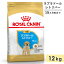 ֥륫ʥ ֥ɡȥС 12kg Ҹ 緿 15ޤ 13ޤ ɥåա ɥ饤ա ROYAL CANIN ʡפ򸫤