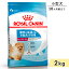 ֥륫ʥ ߥ˥ɥѥԡ 2kg Ҹ  10ޤ ɥåա ɥ饤ա 褹븤 ROYAL CANIN ʡפ򸫤