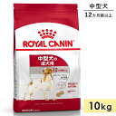 ロイヤルカナン ミディアムアダルト 10kg 成犬用 中型犬用 生後12カ月齢以上 1歳以上 ドッグフード ドライフード ROYAL CANIN 正規品
