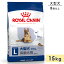 ֥륫ʥ ޥ8+ 15kg  ˥ 緿 8аʾ ɥåա ɥ饤ա ROYAL CANIN ʡפ򸫤