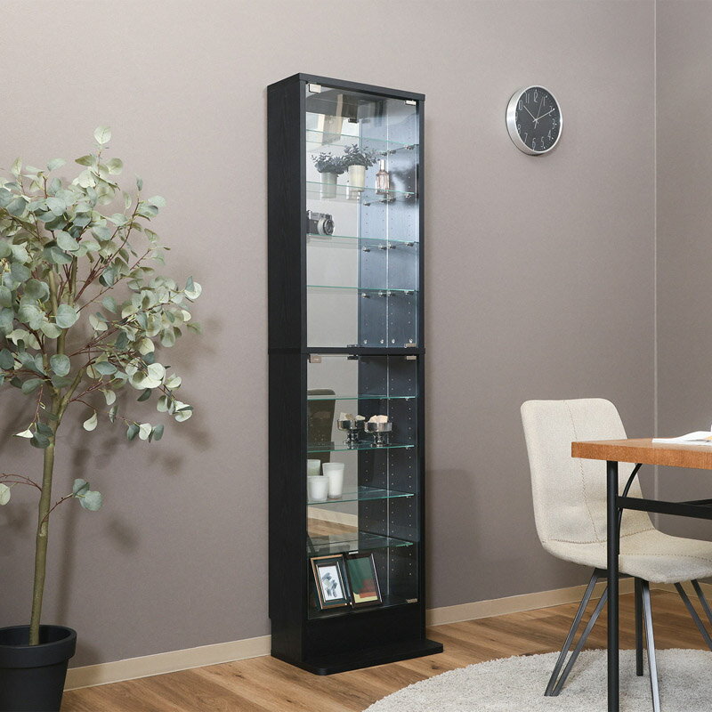 楽天市場】不二貿易 ガラスコレクションケースロータイプ浅型の通販