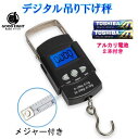 【訳あり】【送料無料】メジャー付き バックライト搭載 フィッシング 吊り下げ秤 電子秤 ~50kg デジタルスケール 計量器 釣り フック アウトドア 父の日 ギフト 量り 計り【ポイント消化】