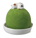 デコレ コンコンブル潤いマスコット 陽だまりの猫AG-61578【DECOLE】【concombre】【熨斗不可商品】