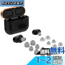 ソニー用 WF-1000XM5 / WF-1000XM4 / WF-1000XM3用 イヤーピース イヤホンキャップ シリコン 遮音性 音質向上 低反発 柔軟性...