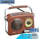 Gelielim ポータブルラジオ FM/AM/SW/ワイドFM対応 高感度 ラジオ USB/SDカード対応 MP3プレーヤー 大音量 USB充電/太陽光充電対応 レトロラジオ LEDライト付