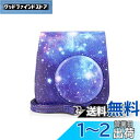 HIYQIN ケース, mini 12/11/9/8+/8ケース 可愛いカメラバッグ ショルダーストラップ付き PUレザー(星柄)