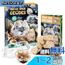 XXTOYS クリスタルジオード 水晶ジオード クリスマス プレゼント クラッキング 自分で割る 鉱石発掘 晶洞 geode 天然石 10個セット