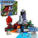 レゴ(LEGO) マインクラフト 荒廃したポータル ギフト 21172 おもちゃ ブロック クリスマスプレゼント 誕生日プレゼント テレビゲーム 男の子 女の子 8歳以上