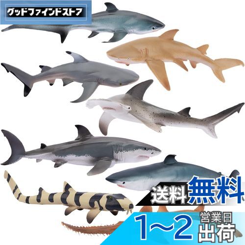 TOYMANY ưʪե奢 8PCSե奢 ưʪե奢å ʪ  ʪ ꥢưʪϷ ṥ ...