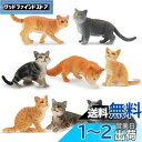 TOYMANY 猫フィギュア 動物フィギュア かわいい猫 8匹入 リアルな動物模型 猫モデル 人気動物 玩具 誕生日プレゼント クリスマス 新年 飾り物 コレクション 6歳以上