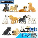 TOYMANY 12PCSミニ犬フィギュア ミニ動物フィギュア 動物フィギュアセット 犬モデル リアルな動物模型 犬おもちゃ 人気動物 玩具 誕生日プレゼント クリスマス 新年 飾り物 コレクション 6歳以上(3)