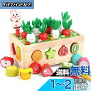 Homehalo 木のおもちゃ ニンジン パズル モンテッソーリ玩具 知育玩具 人気 指先レッスンボックス はめこみ 形合わせ 木製おもちゃ 男の子 女の子 農場ニンジン抜き・磁石芋虫捕りゲーム 果物・大小・カラー認識 子供の日 誕生日お祝い クリスマスプレゼント(3)