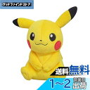 三英貿易 ポケットモンスター ALL STAR COLLECTION ピカチュウ(メスのすがた) (S) W17×D12×H19cm ぬいぐるみ ポケモン PP165(3)
