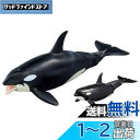 タカラトミー(TAKARA TOMY) アニア AL-08 シャチ親子 (水に浮くVer.) 動物 恐竜 おもちゃ 3歳以上(3)