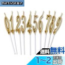 Phyxiul バースデー ナンバー キャンドル 0〜9 10点セット 誕生日 お祝い 高級 ろうそく 記念日キャンドルウエディングパーティー卒業パーティー (...