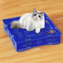 Giznzg 猫 おもちゃ ボール 猫遊び用 遊ぶ盤 アクリル製 一人遊び 鈴入りボール ねこ 運動不足やストレス解消 子猫/成猫 キャット知育玩具 室内運動 留守番対応 ペット用品